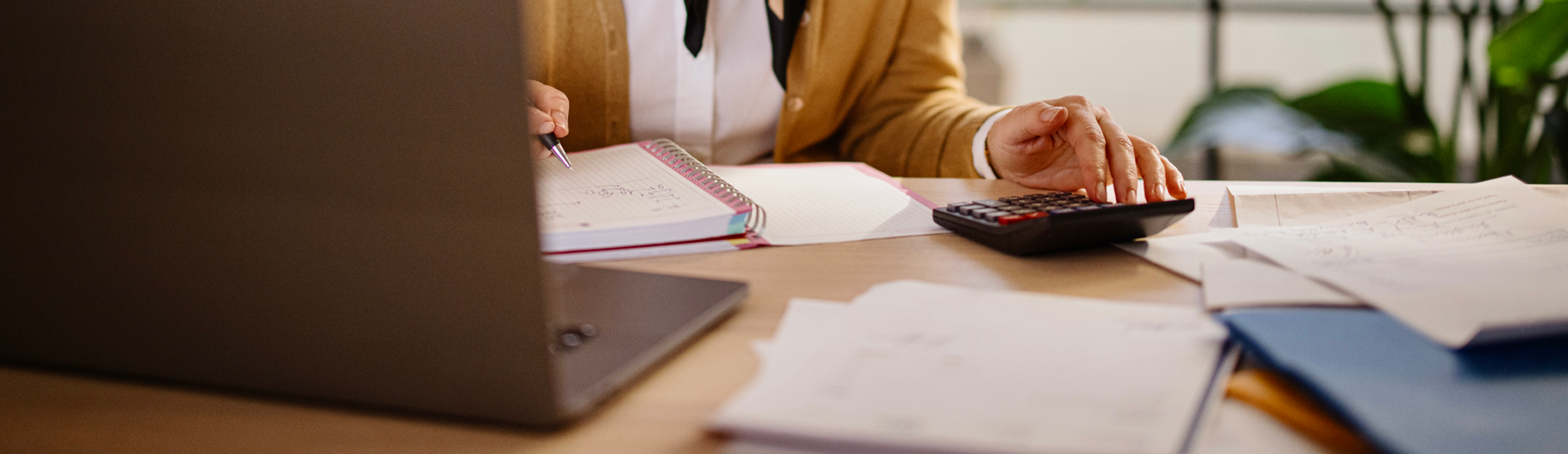 banking and financial services professional 